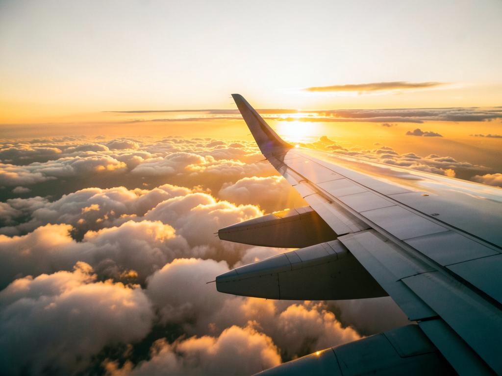 Flights